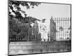 Photographic Print