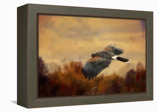 Harris Hawk in Autumn-Jai Johnson-Framed Premier Image Canvas