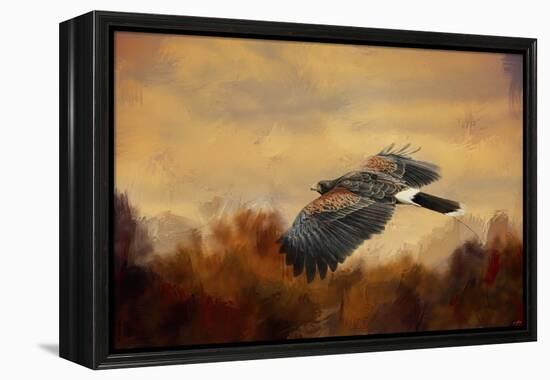 Harris Hawk in Autumn-Jai Johnson-Framed Premier Image Canvas