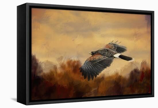 Harris Hawk in Autumn-Jai Johnson-Framed Premier Image Canvas