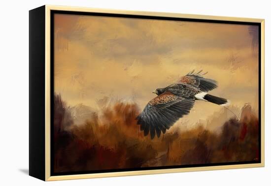 Harris Hawk in Autumn-Jai Johnson-Framed Premier Image Canvas