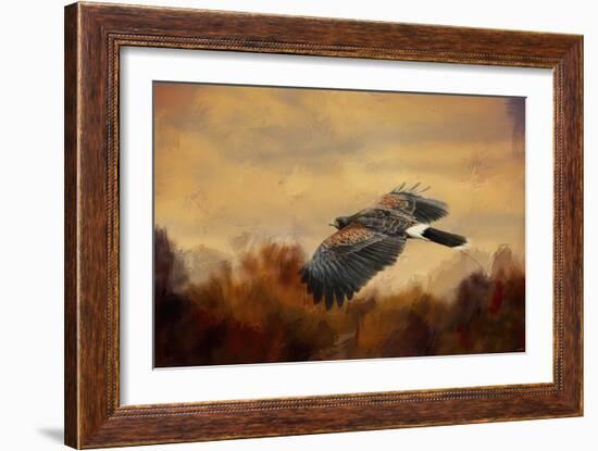 Harris Hawk in Autumn-Jai Johnson-Framed Premium Giclee Print