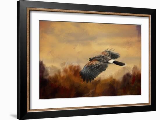 Harris Hawk in Autumn-Jai Johnson-Framed Premium Giclee Print