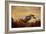 Harris Hawk in Autumn-Jai Johnson-Framed Giclee Print