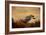 Harris Hawk in Autumn-Jai Johnson-Framed Giclee Print