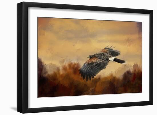 Harris Hawk in Autumn-Jai Johnson-Framed Giclee Print