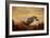 Harris Hawk in Autumn-Jai Johnson-Framed Giclee Print