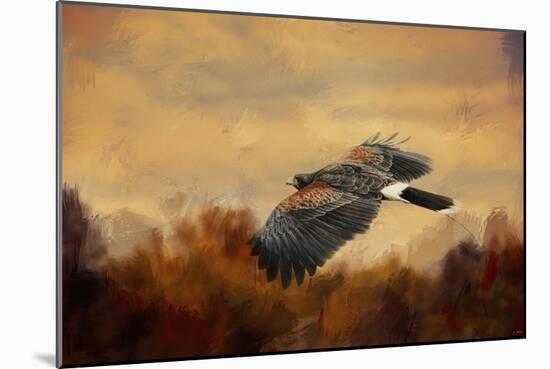 Harris Hawk in Autumn-Jai Johnson-Mounted Giclee Print