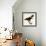 Harris' Hawk-John James Audubon-Framed Giclee Print displayed on a wall