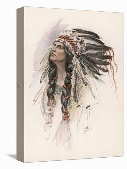 Stretched Canvas Print, , large