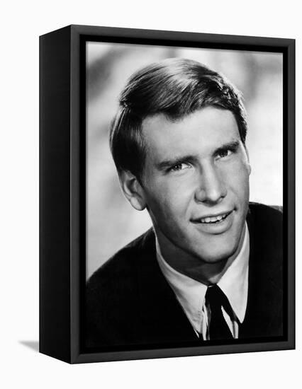 HARRISON FORD Portrait early 70's (b/w photo)-null-Framed Stretched Canvas