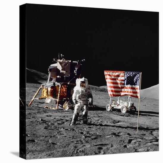 Stretched Canvas Print, , large