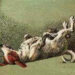 Mother Hubbard, Dog Dead-Harrison Weir-Art Print
