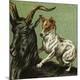 Premium Giclee Print