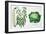 Harrisons' Emperor Bean and Harrisons' Improved Drumhead Ox Cabbage-null-Framed Giclee Print