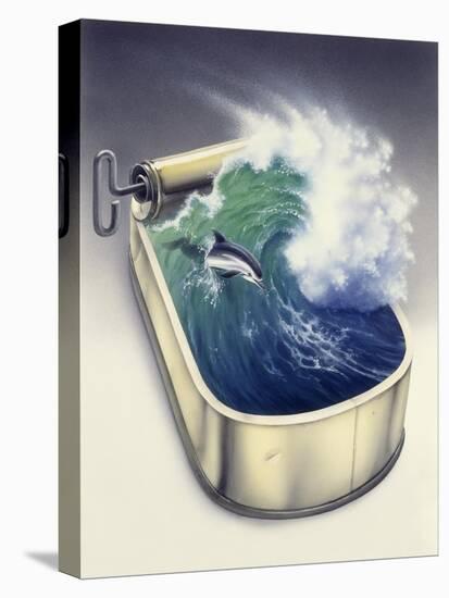 Stretched Canvas Print, , large