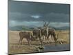 Giclee Print