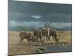 Giclee Print