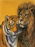 Lion and Tiger-Harro Maass-Giclee Print