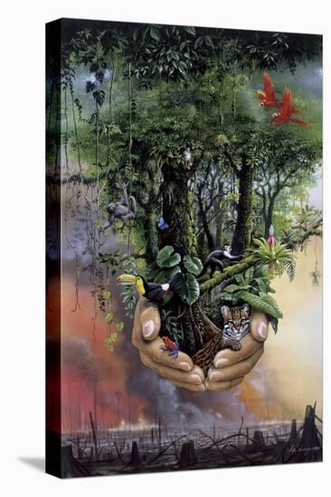 Stretched Canvas Print, , large