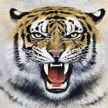 Tiger-Harro Maass-Giclee Print