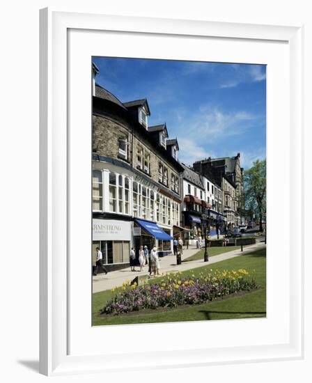 Harrogate, Yorkshire, England, United Kingdom-Adina Tovy-Framed Photographic Print