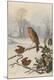 Premium Giclee Print