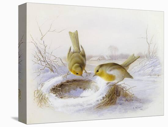 Stretched Canvas Print, , large