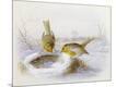 Giclee Print