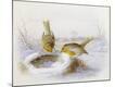 Giclee Print