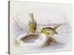 Stretched Canvas Print