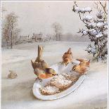 Robins and Wrens: Winter Breakfast, Postcard (Colour Litho)-Harry Bright-Giclee Print
