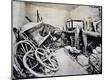 Photographic Print