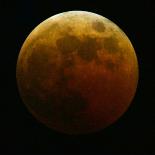 Lunar Eclipse-Harry Cabluck-Premier Image Canvas