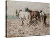 Stretched Canvas Print