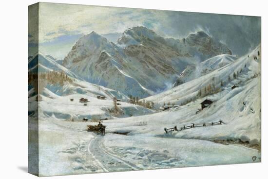 Stretched Canvas Print, , large