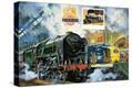 Stretched Canvas Print