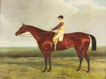 Sir Tatton Sykes (1772-1863) Leading in the Horse 'sir Tatton Sykes', with William Scott Up, 1846-Harry Hall-Giclee Print