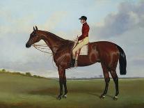 Chippendale, A Racehorse with jockey up on Newmarket Racecourse, 1874-Harry Hall-Giclee Print