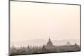 Premium Photographic Print