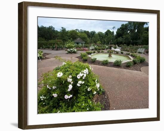Harry P. Leu Gardens, Orlando, Florida, United States of America, North America-Michael DeFreitas-Framed Photographic Print