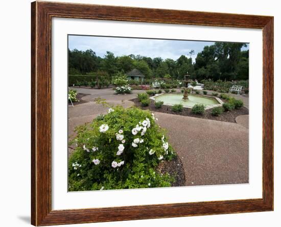 Harry P. Leu Gardens, Orlando, Florida, United States of America, North America-Michael DeFreitas-Framed Photographic Print