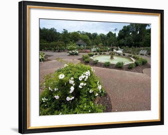 Harry P. Leu Gardens, Orlando, Florida, United States of America, North America-Michael DeFreitas-Framed Photographic Print