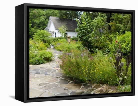 Harry P. Leu Gardens, Orlando, Florida, United States of America, North America-Michael DeFreitas-Framed Premier Image Canvas