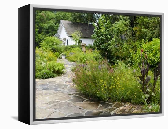 Harry P. Leu Gardens, Orlando, Florida, United States of America, North America-Michael DeFreitas-Framed Premier Image Canvas