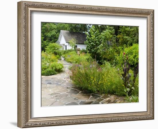 Harry P. Leu Gardens, Orlando, Florida, United States of America, North America-Michael DeFreitas-Framed Photographic Print