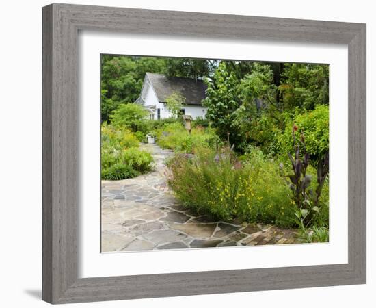 Harry P. Leu Gardens, Orlando, Florida, United States of America, North America-Michael DeFreitas-Framed Photographic Print