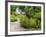 Harry P. Leu Gardens, Orlando, Florida, United States of America, North America-Michael DeFreitas-Framed Photographic Print