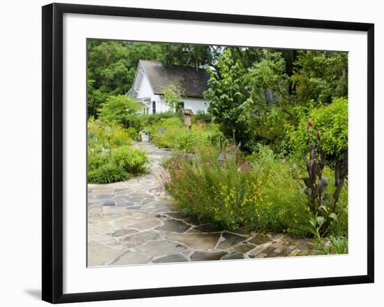 Harry P. Leu Gardens, Orlando, Florida, United States of America, North America-Michael DeFreitas-Framed Photographic Print