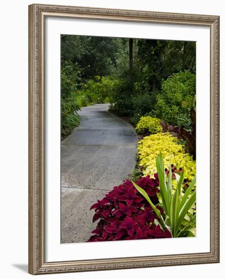 Harry P. Leu Gardens, Orlando, Florida, United States of America, North America-Michael DeFreitas-Framed Photographic Print